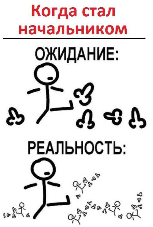 528x783, 51 Kb / начальник, ожидание, хуй, пинать