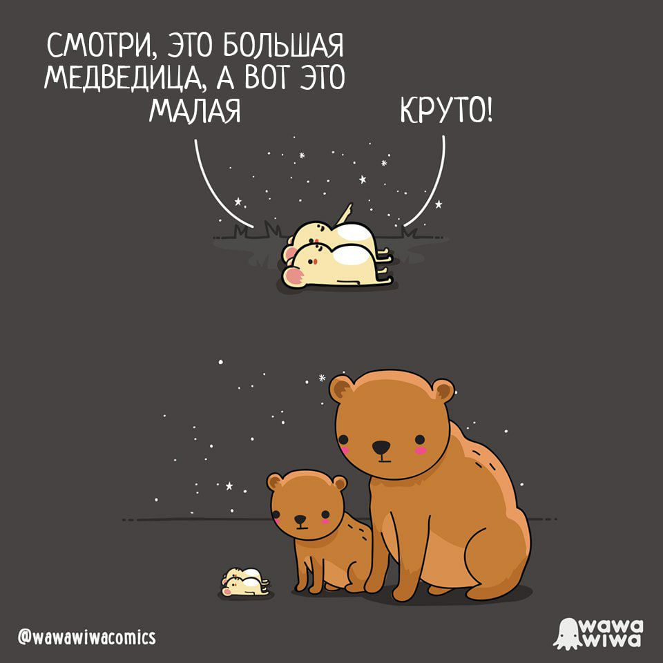 960x960, 59 Kb / мыши, медведица, большая