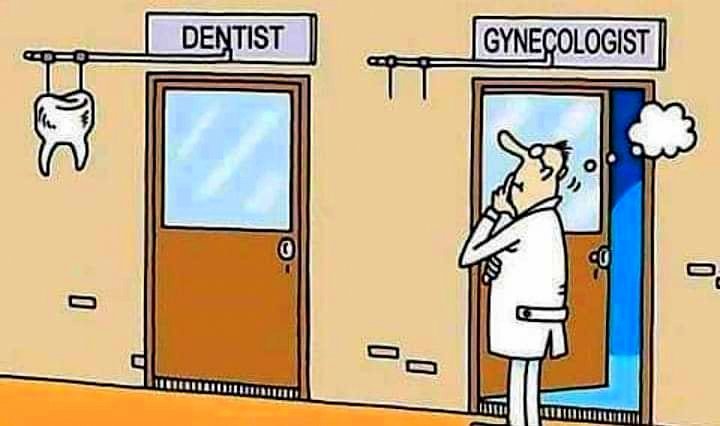 720x426, 41 Kb / дантист, гинеколог, вывеска, зуб