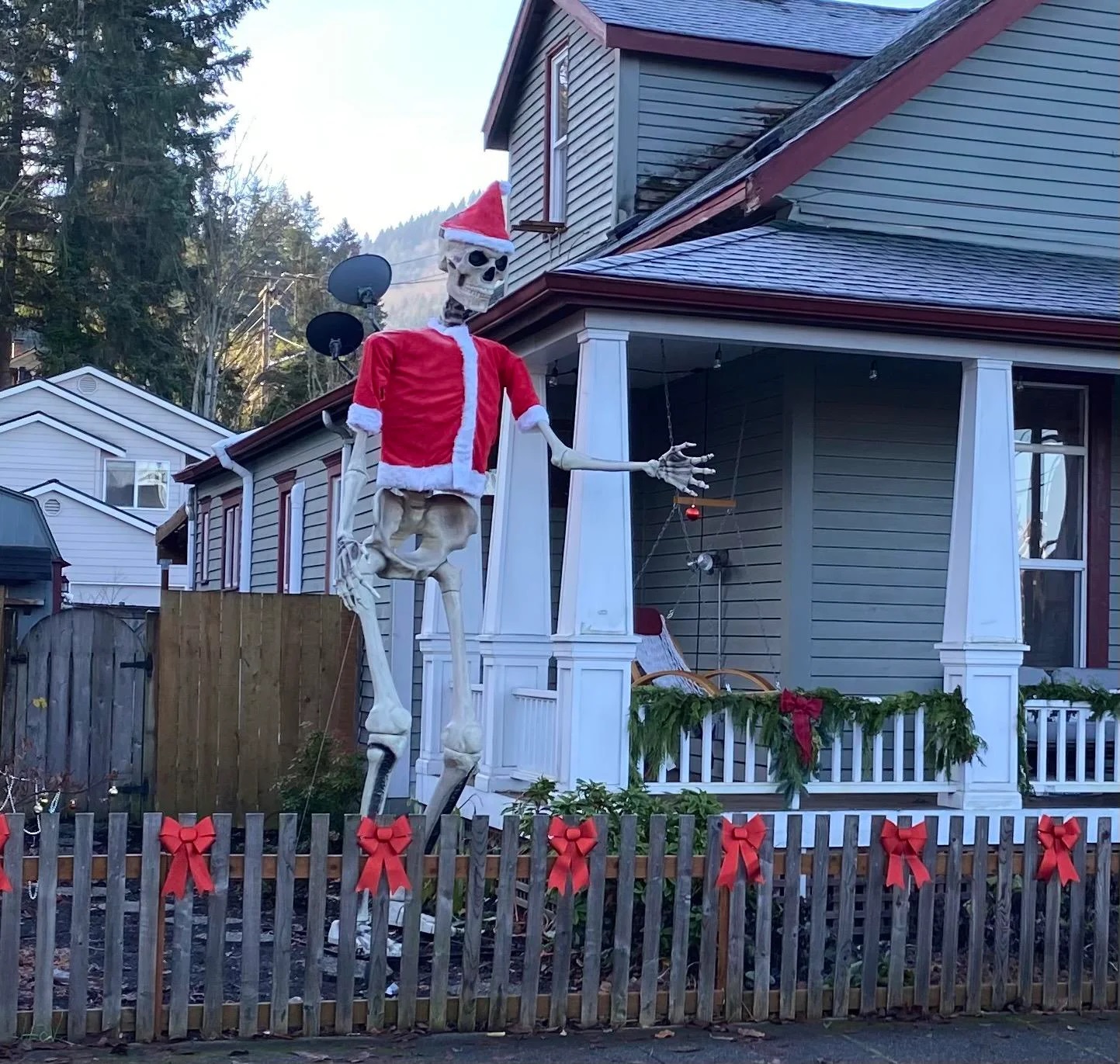 1443x1371, 623 Kb / скелет, санта