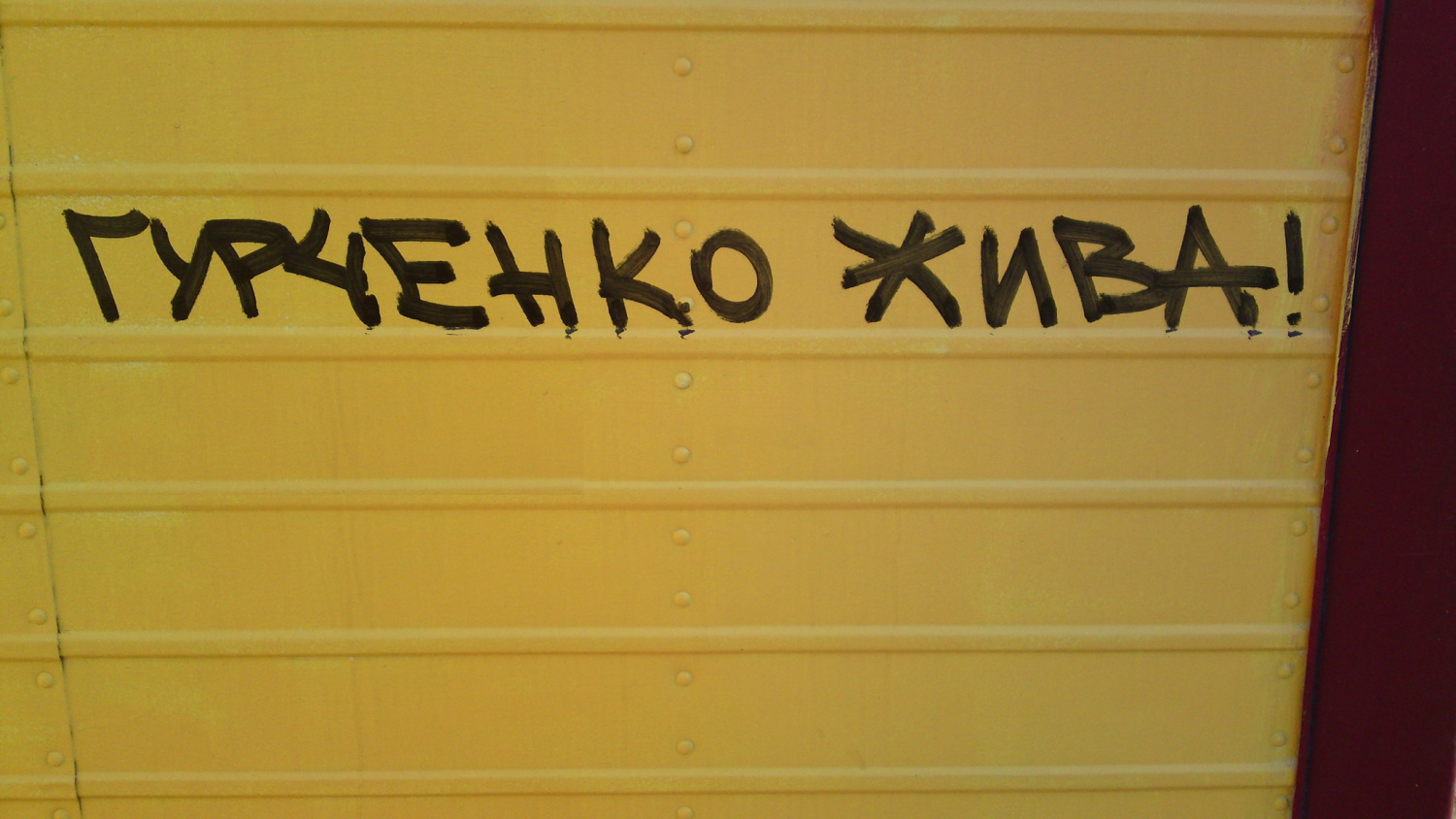 1500x844, 361 Kb / цой, жив, гурченко