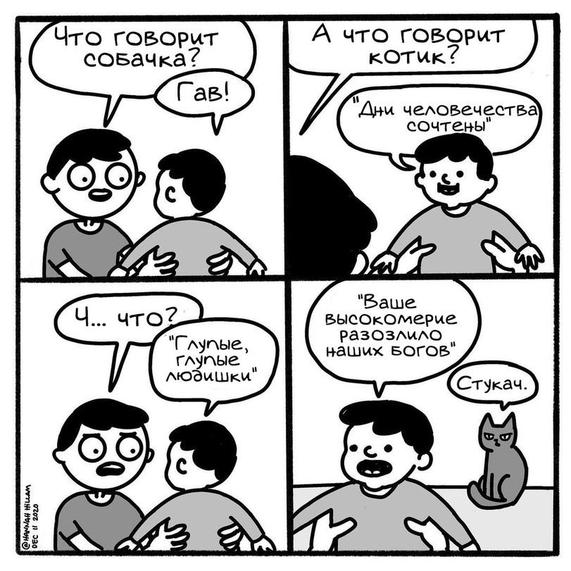 811x811, 130 Kb / комикс, собачка, котик, стукач