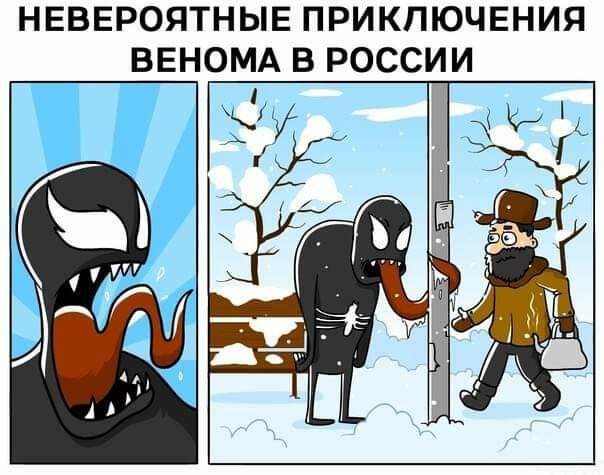 604x475, 63 Kb / Веном, столб, примерз