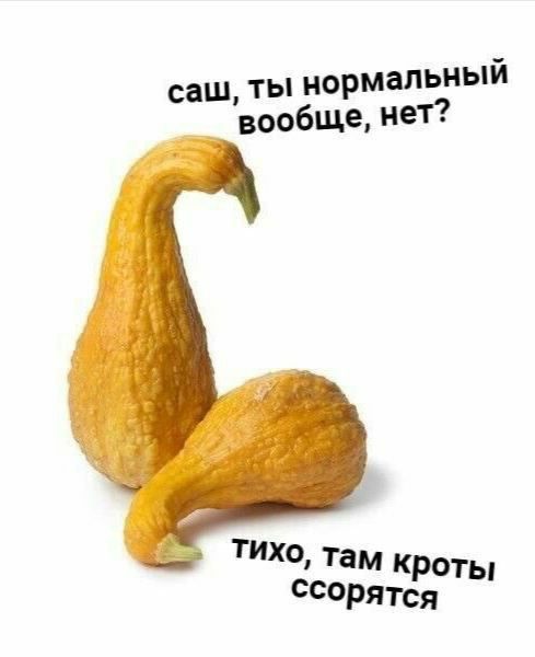 489x600, 31 Kb / овощ, тыква, крот