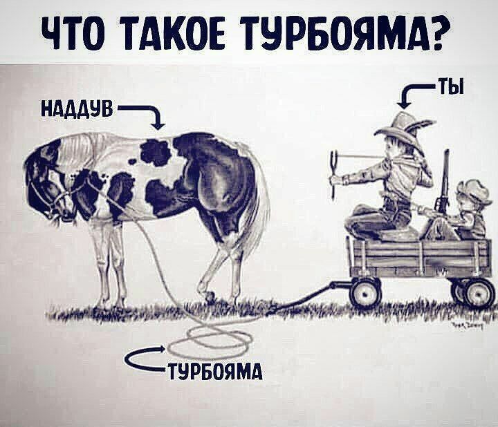 720x618, 74 Kb / турбояма, объяснение, лошадь, повозка