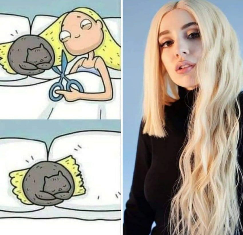 849x821, 96 Kb / подушка, кот, волосы, Ava Max