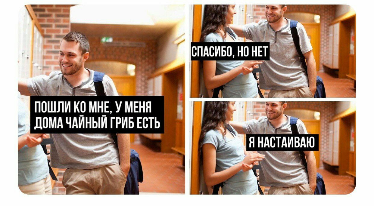 1242x685, 163 Kb / чайный гриб, приглашение