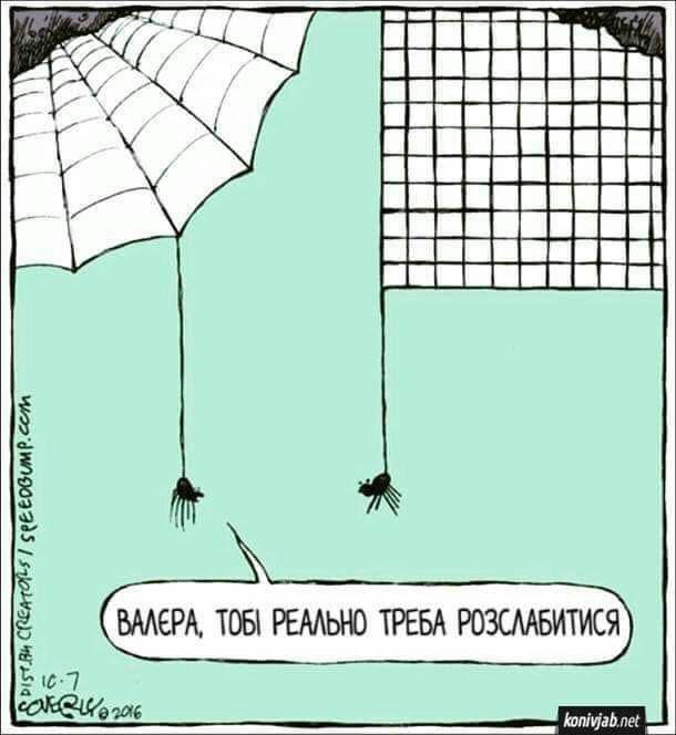 610x664, 54 Kb / паук, паутина, решетка