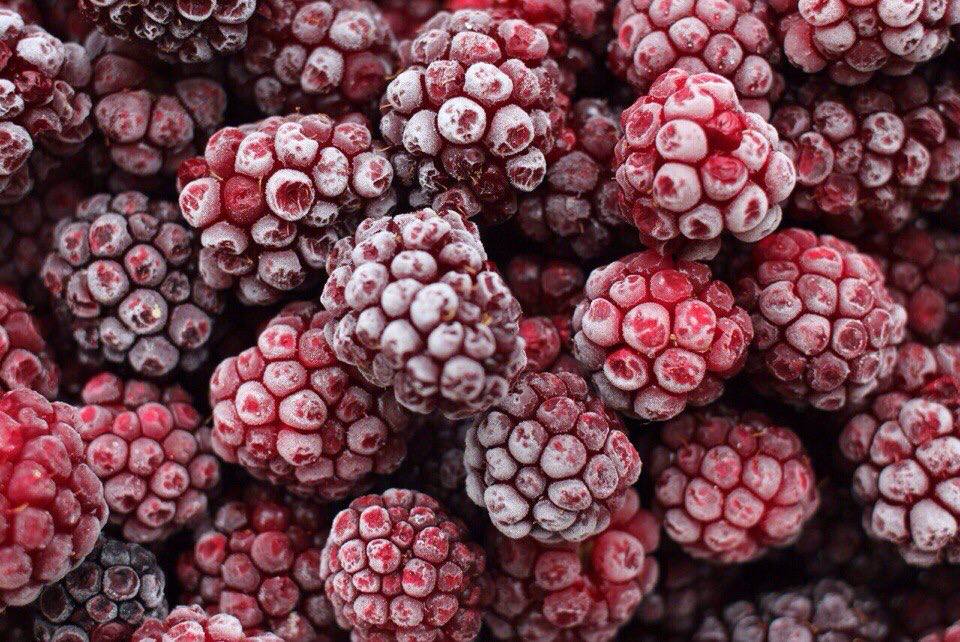 960x642, 156 Kb / малина, иней, заморозка