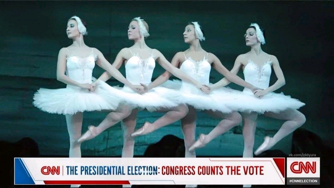 1080x608, 396 Kb / охрана, Вашингтон, протест, США, капитолий, балет, балерина