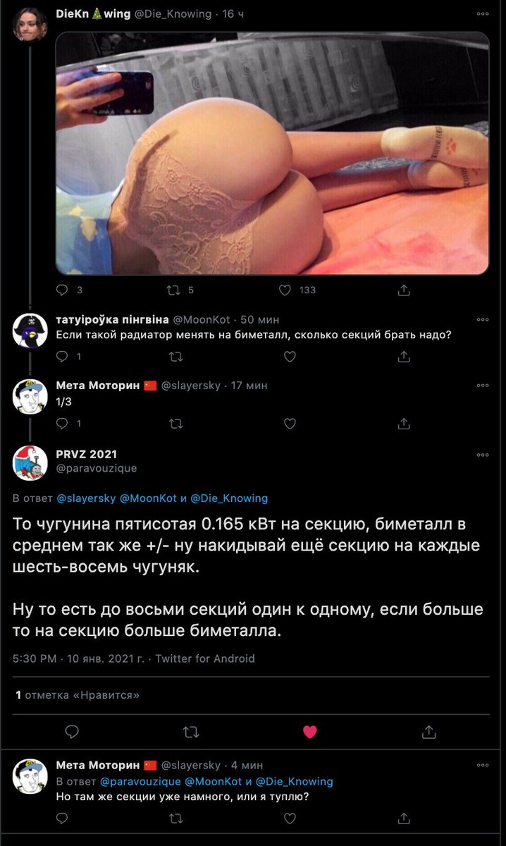 718x1200, 122 Kb / попа, батарея, чугун, биметалл