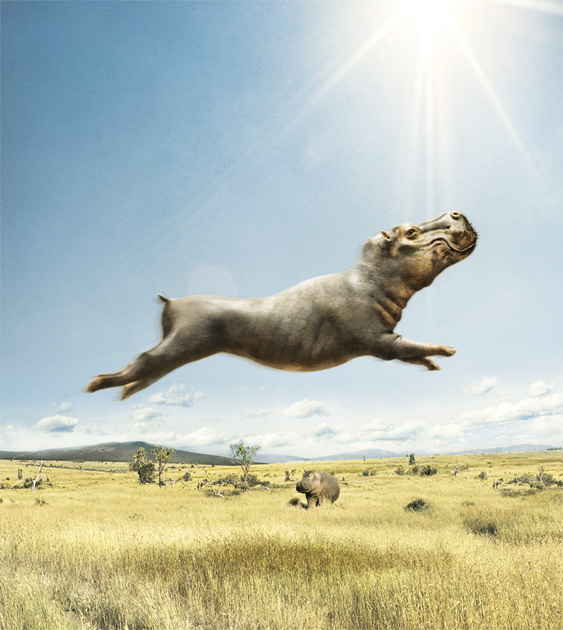 563x630, 129 Kb / бегемот, полёт