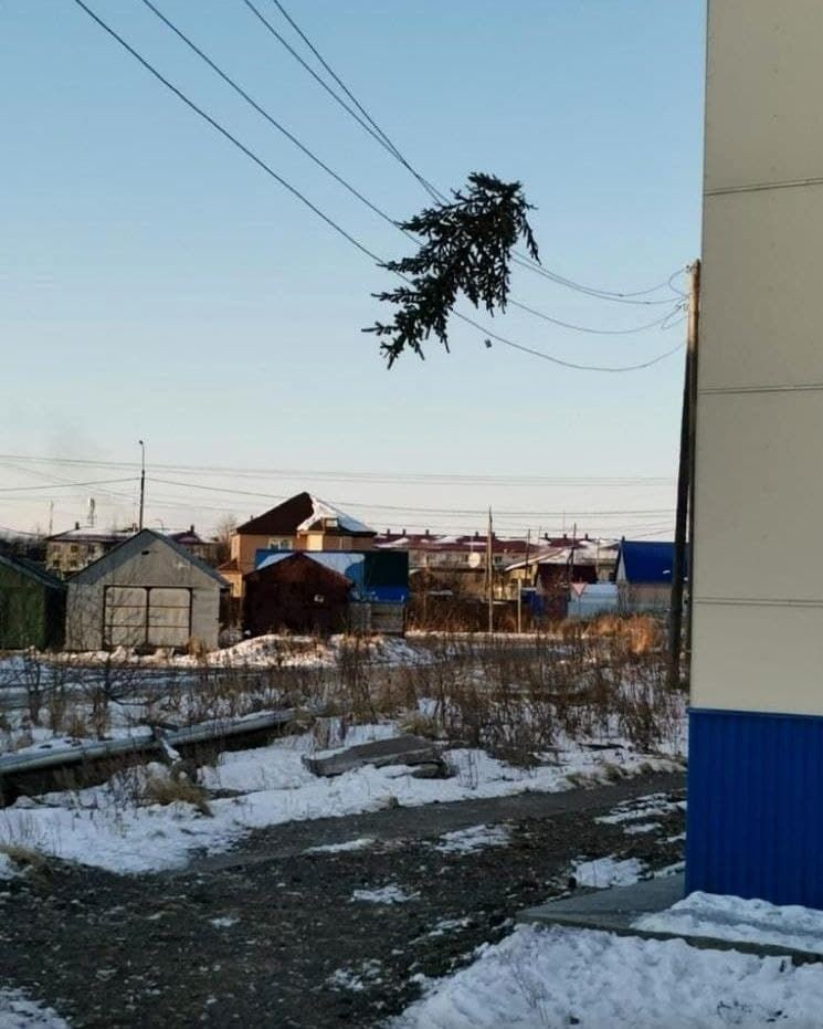 745x931, 96 Kb / елка, провода, снег