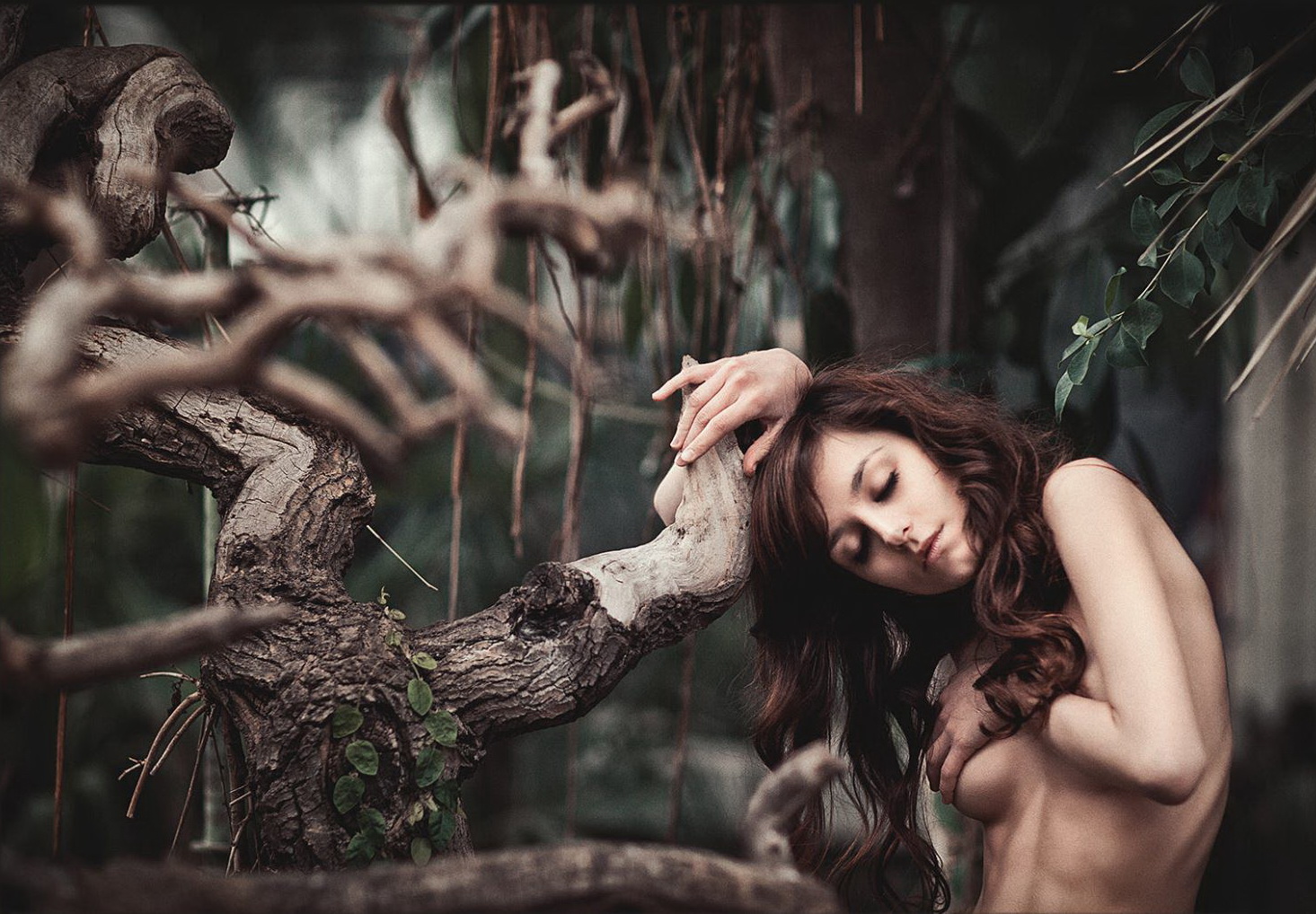 1465x1018, 480 Kb / дерево, ветка, скрючило