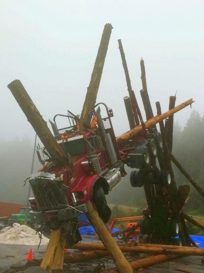 717x960, 75 Kb / тягач, дтп, авария, бревна, лес, человек из стали