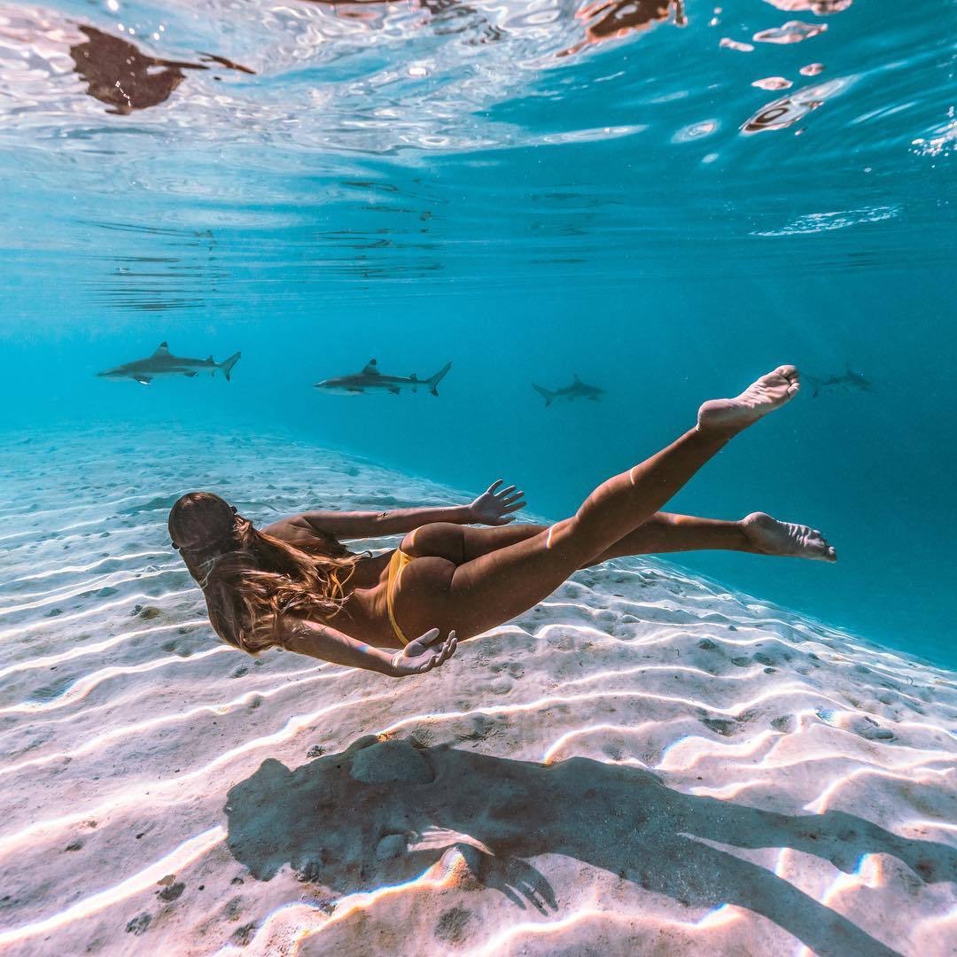 1080x1080, 254 Kb / акула, попа, под водой, бикини, песок, блондинка