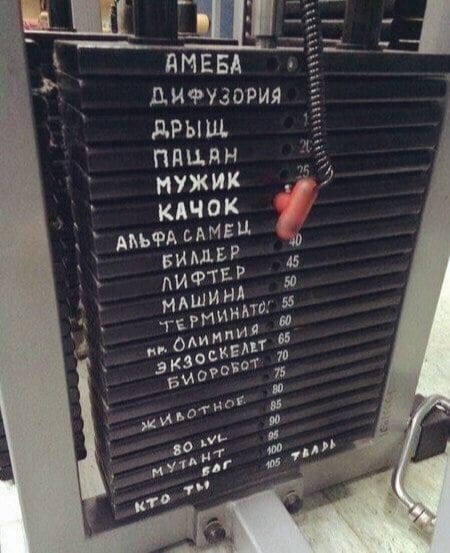 450x553, 60 Kb / груз, станок, качалка, тренажёр