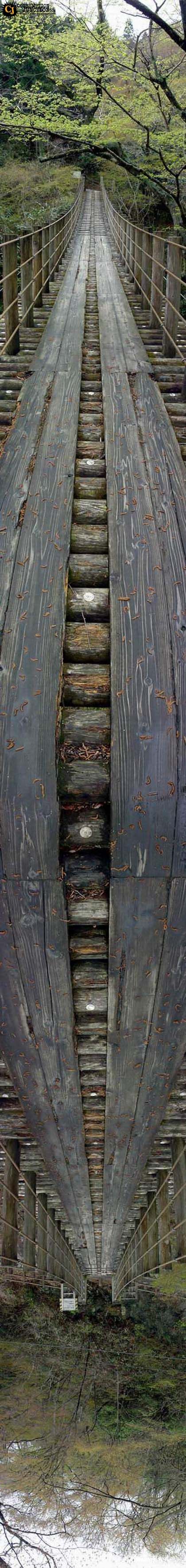 420x3538, 254 Kb / глюк, панорама, мост