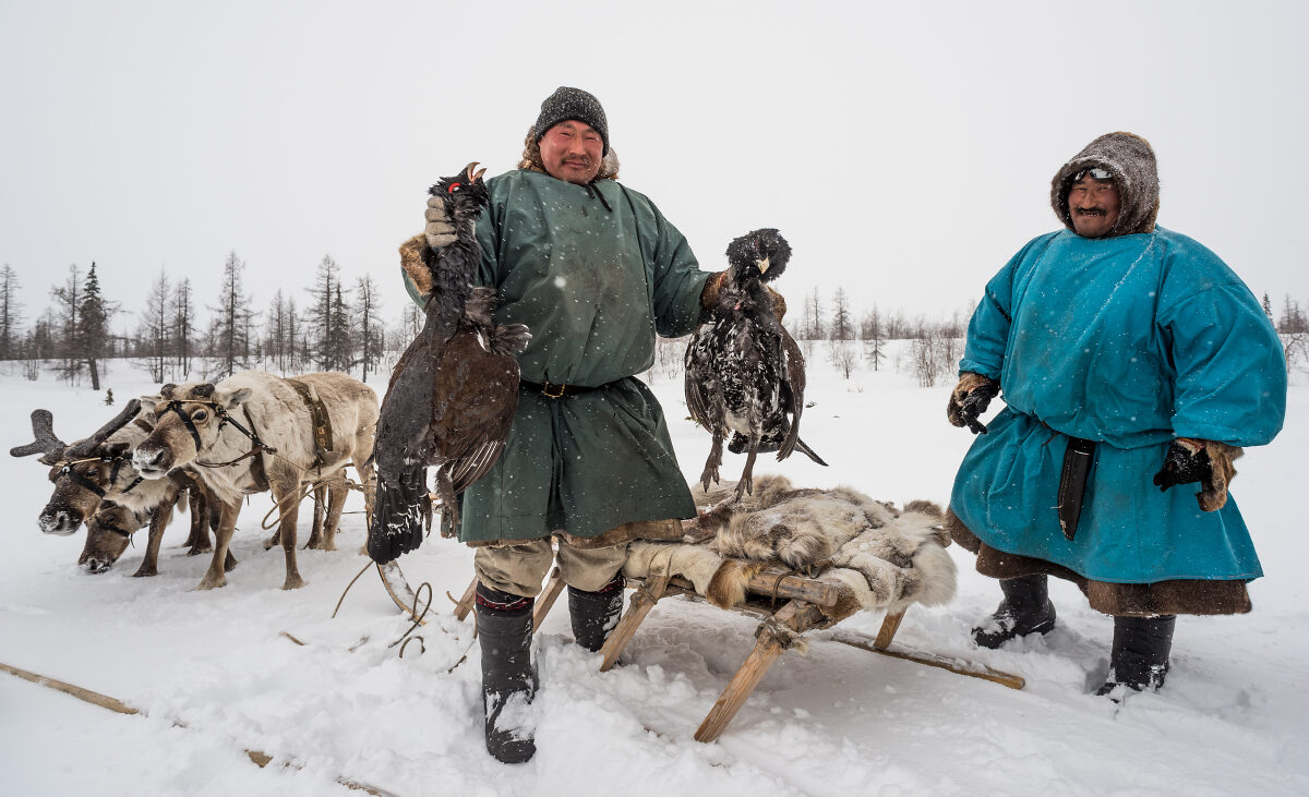 1200x731, 209 Kb / оленевод, сани, птица, шкура, снег, охота, дичь