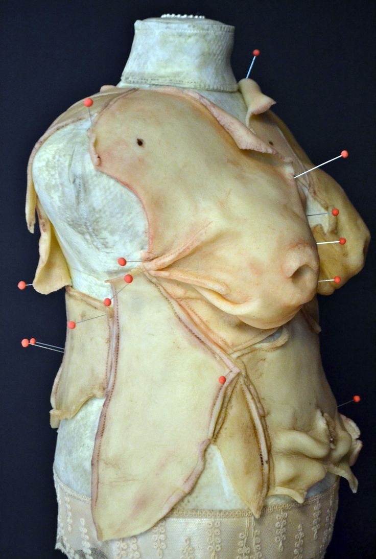 736x1094, 96 Kb / манекен, кожа, булавки, крой