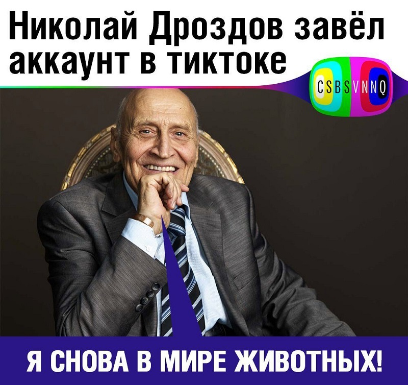 800x754, 163 Kb / Дроздов, в мире животных, тикток