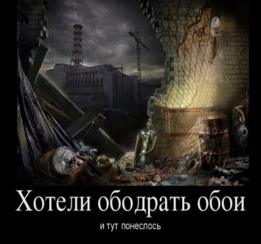 535x500, 46 Kb / ремонт, обои, сталкер