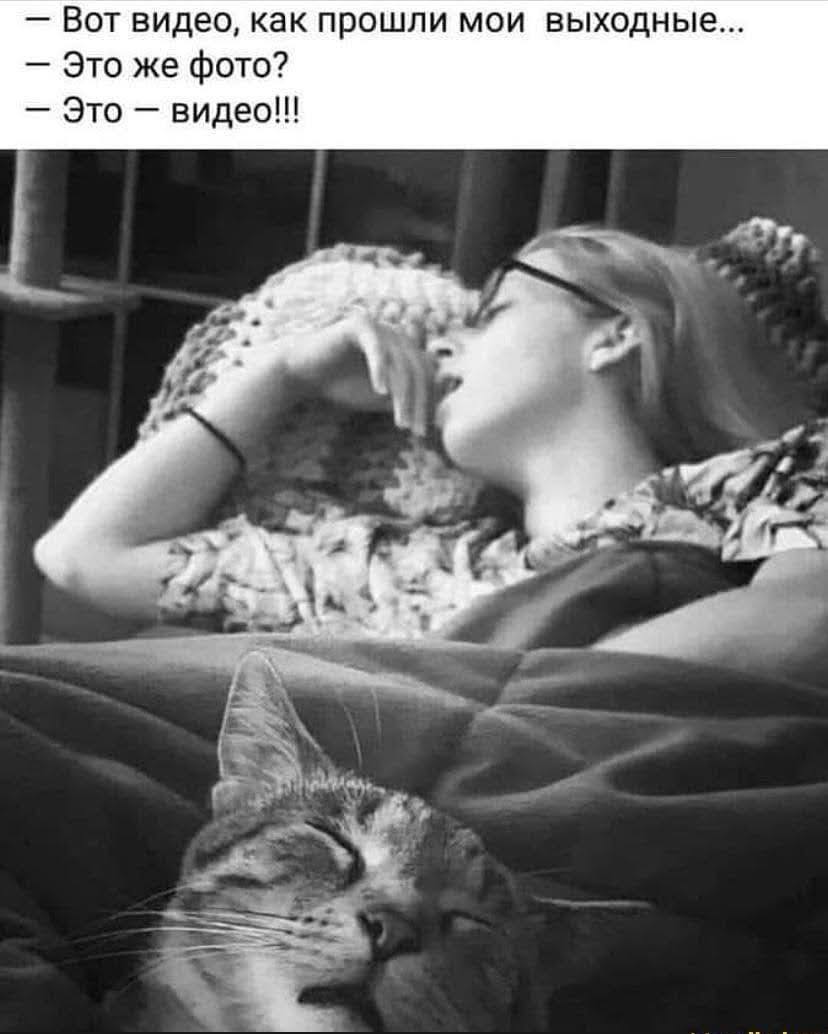 828x1034, 71 Kb / ч/б, кот, кошка, спят, очки, видео