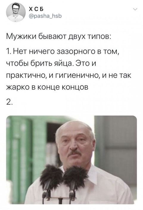 480x705, 42 Kb / лукашенко, яйца, бритьё, микрофон, лохматый