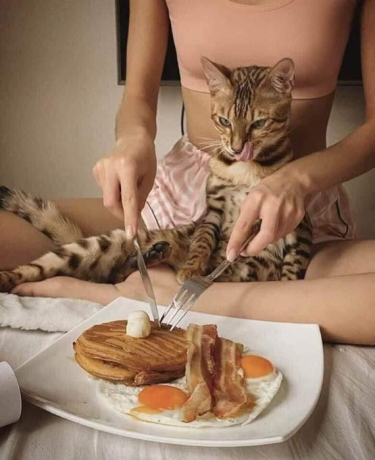 540x662, 79 Kb / яичница, бекон, еда, язык, облизывается