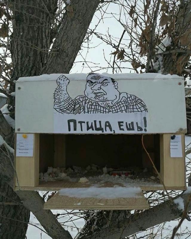 640x800, 121 Kb / Кормушка, птица, мем