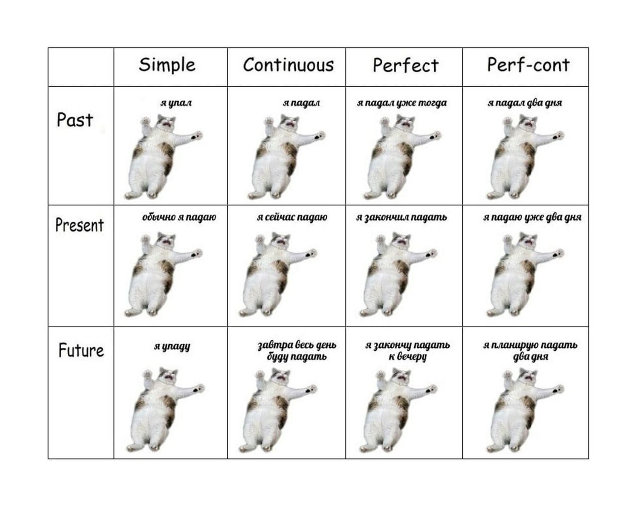 1280x1021, 116 Kb / кот, падение, оборот, время