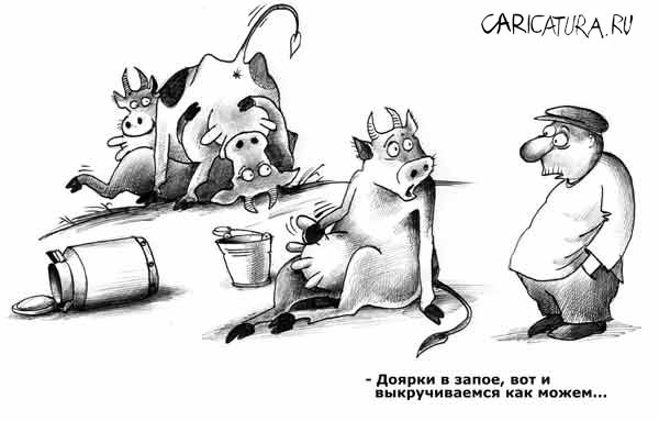 600x383, 33 Kb / коровы, 69