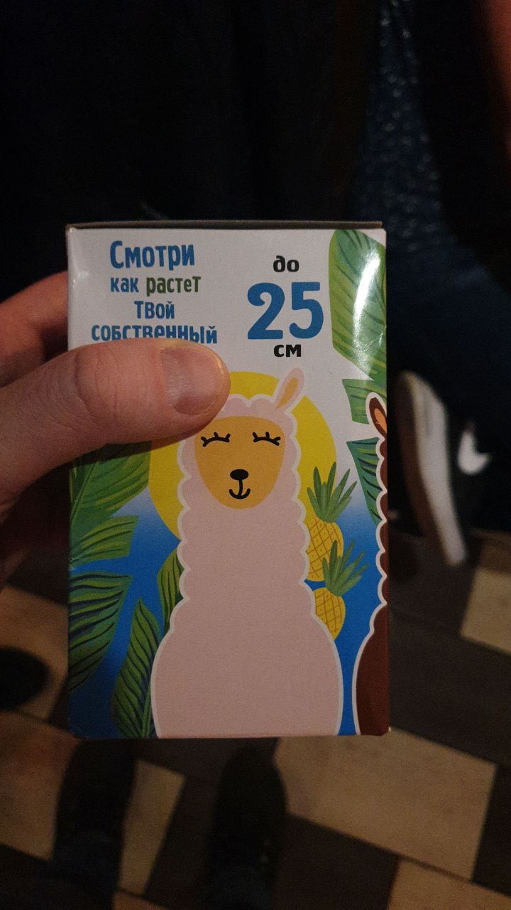 720x1280, 105 Kb / лама, ананас, альпака