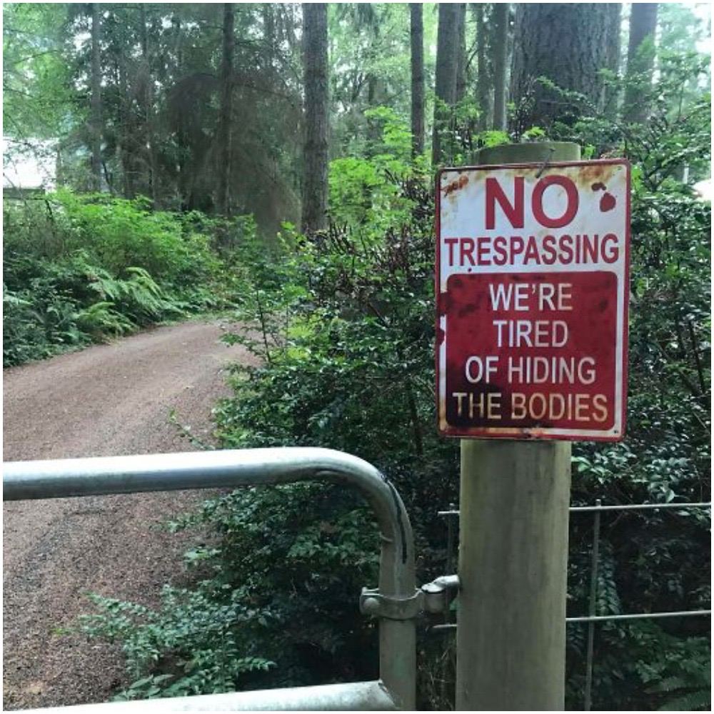 1000x1000, 207 Kb / дорога, трупы