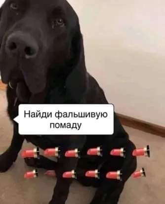 334x411, 10 Kb / Собака, помада, писька, пес