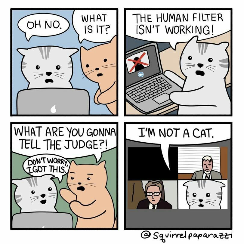 811x811, 134 Kb / кот, человек, фильтр