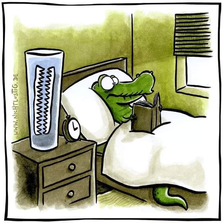 720x720, 62 Kb / Крокодил, стакан, челюсть, книга, кровать