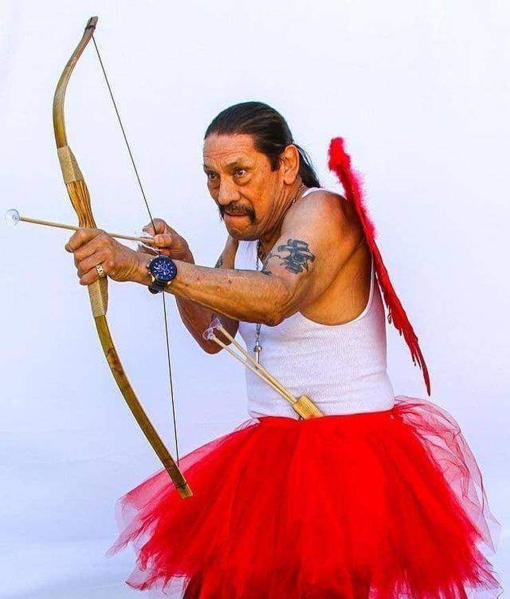 740x869, 58 Kb / мачете, фея ,лук, стрела, Дэнни Трехо