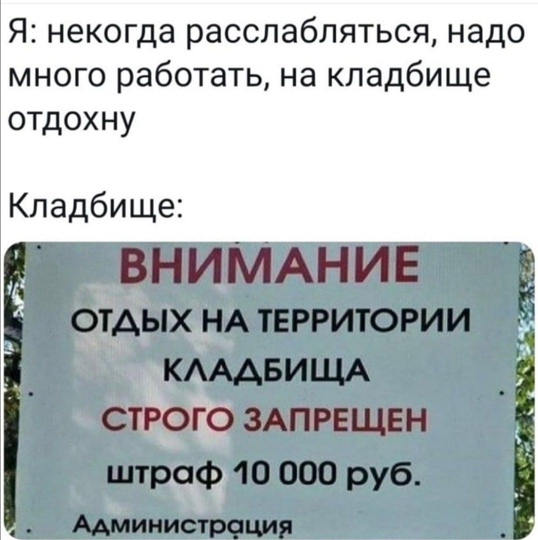 1076x1080, 115 Kb / кладбище, отдых, штраф