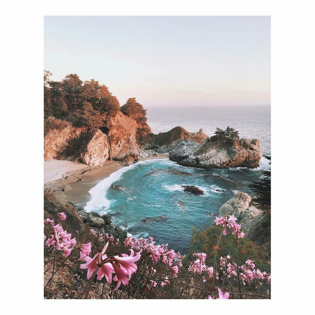 1080x1080, 207 Kb / вода, бухта, камни, берег, цветы, небо, деревья