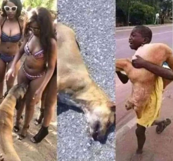 600x558, 136 Kb / бабы, запах, собака, негр, плач