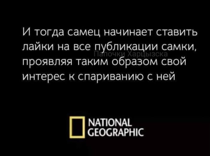 700x520, 31 Kb / лайк, самец, спаривание