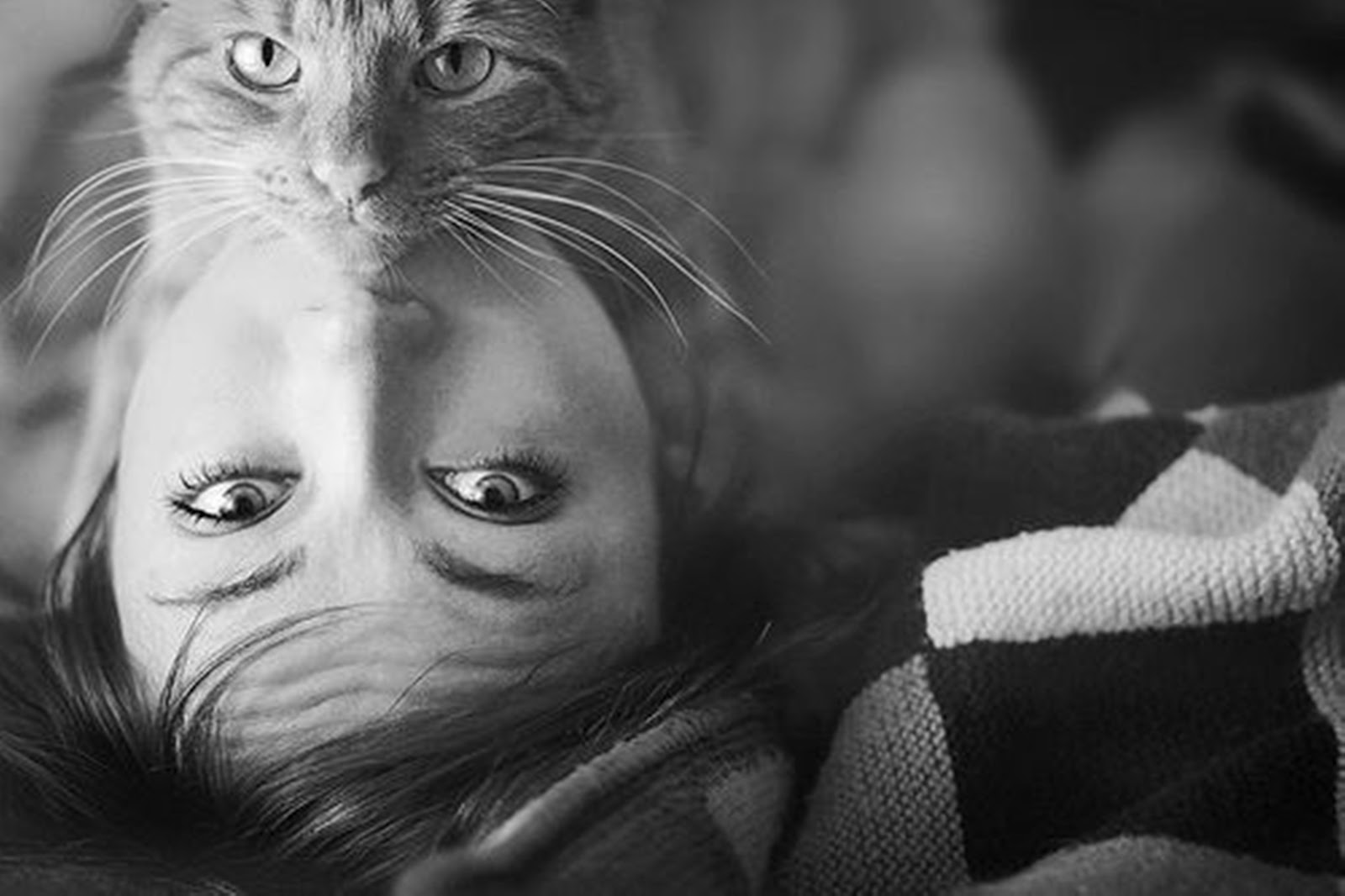 1600x1066, 123 Kb / ч/б, глаза, плед