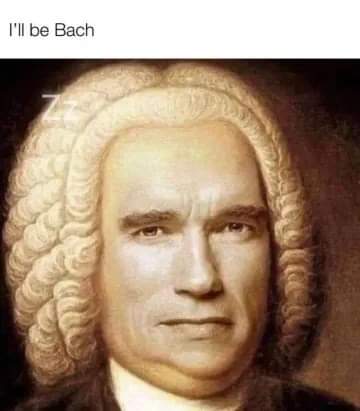 360x411, 14 Kb / Терминатор, Бах, парик, фраза, Шварценеггер