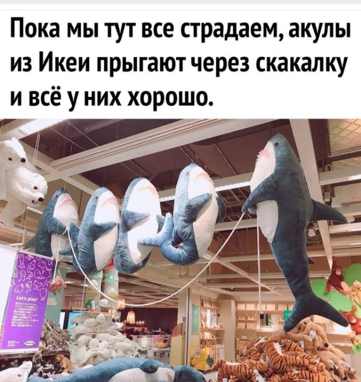 1210x1280, 190 Kb / акулы, скакалка