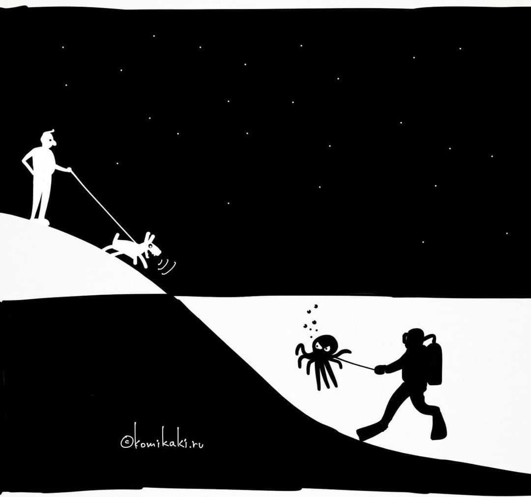 1080x1011, 29 Kb / собака, море, водолаз, осьминог, komikaki