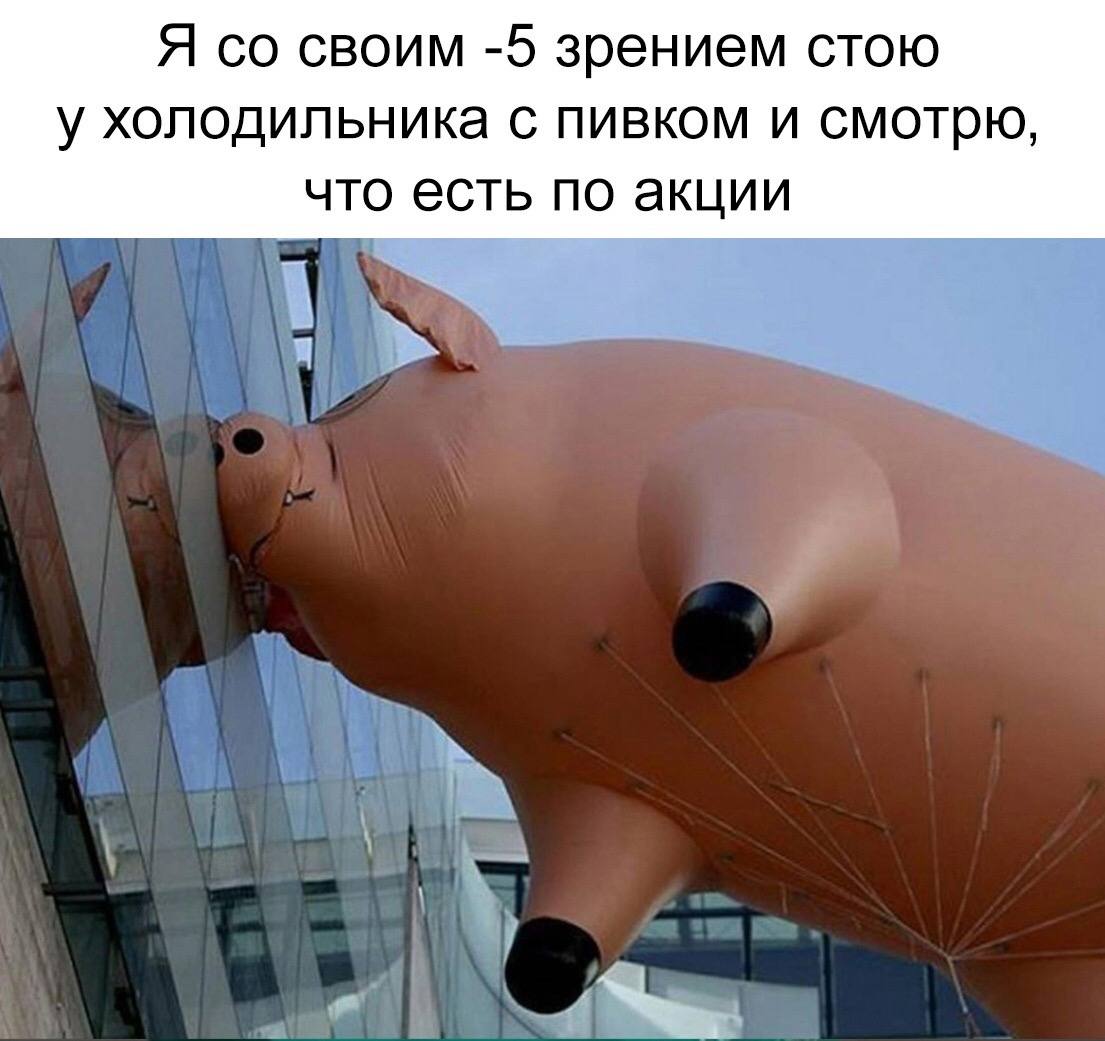 1105x1041, 104 Kb / свинья, пятачок, шар, надувной