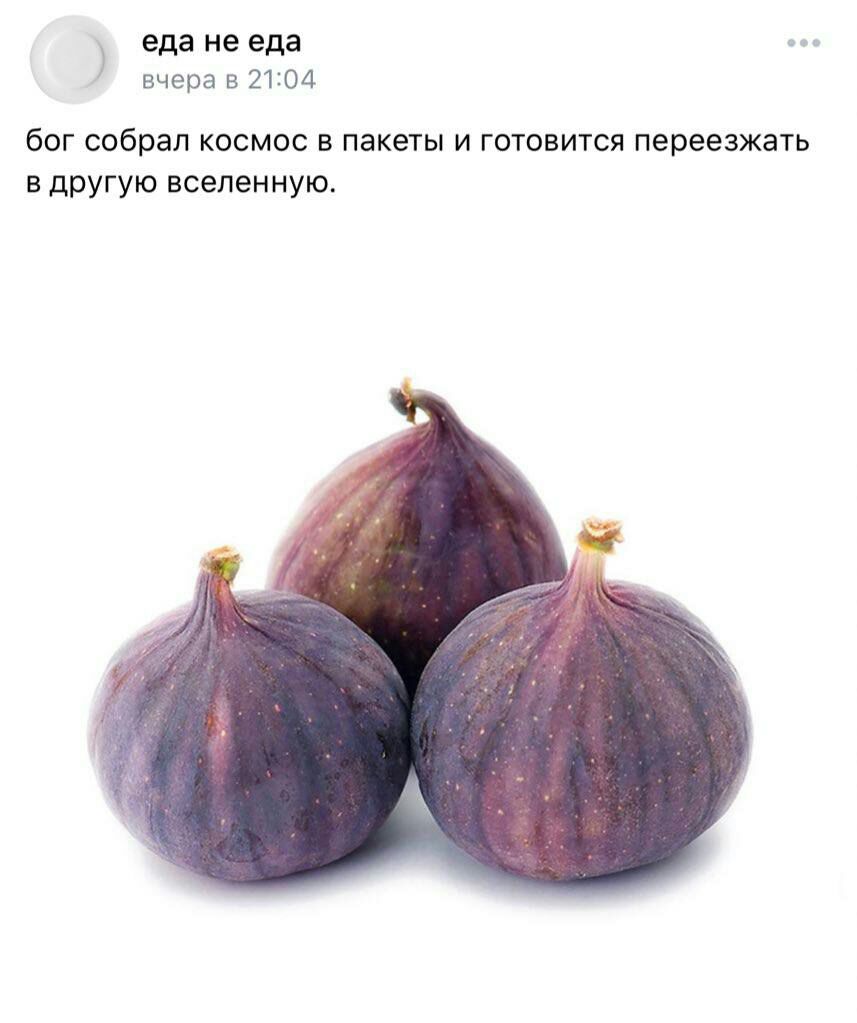 857x1023, 72 Kb / инжир