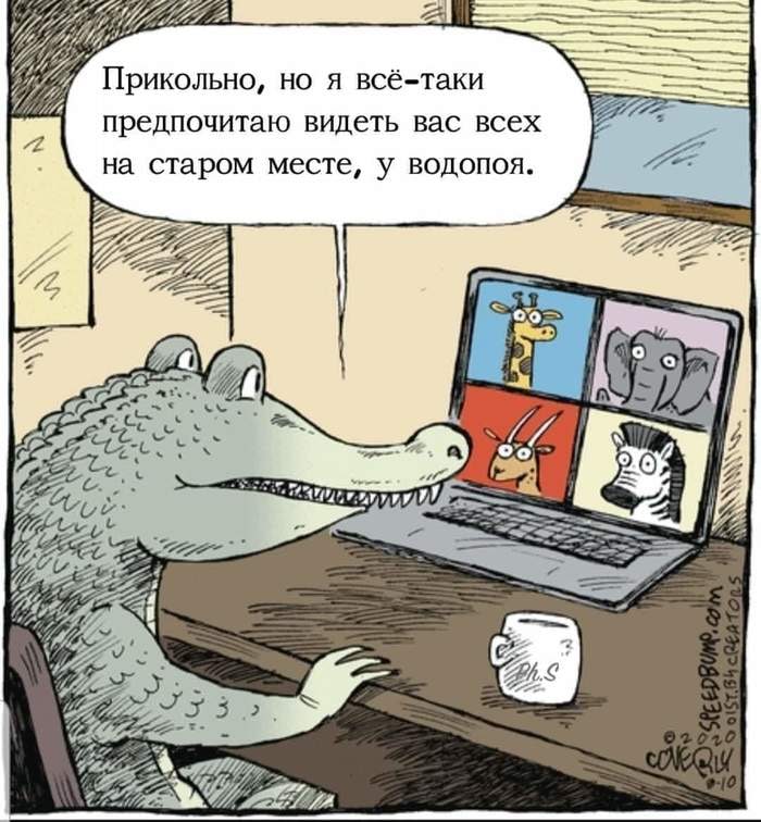 700x756, 108 Kb / крокодил, удаленка, водопой