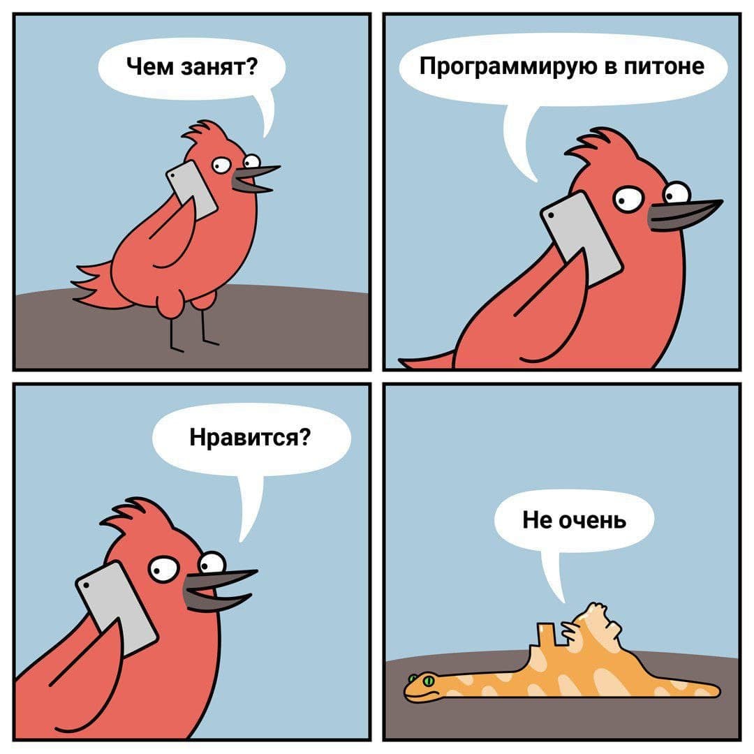 1080x1080, 94 Kb / птица, в питоне, несравненный, юмор